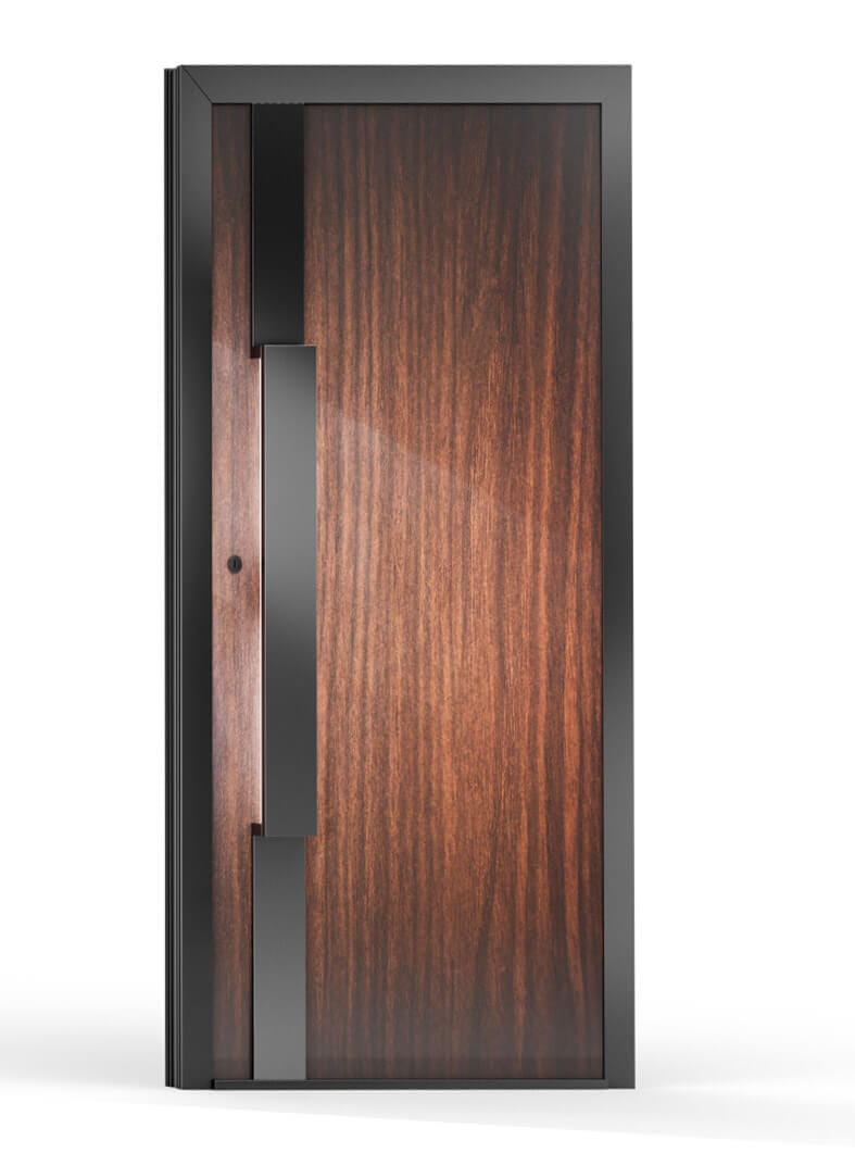 Decorative Glass Insets for a Contemporary and Elegant Door Design
